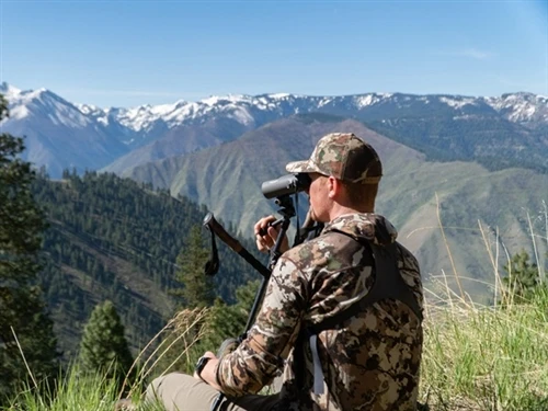 What Experienced Hunters Notice That Beginners Miss: 7 Secrets To Becoming A ...